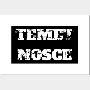 TEMET NOSCE (KNOW THYSELF) Posters and Art